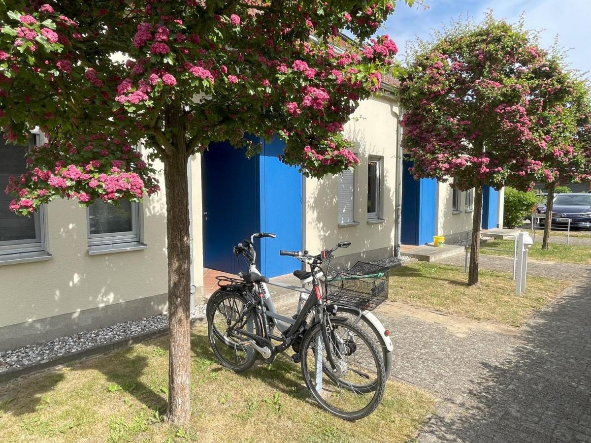 Ferienwohnung Seeseite Dewichow Exterior foto